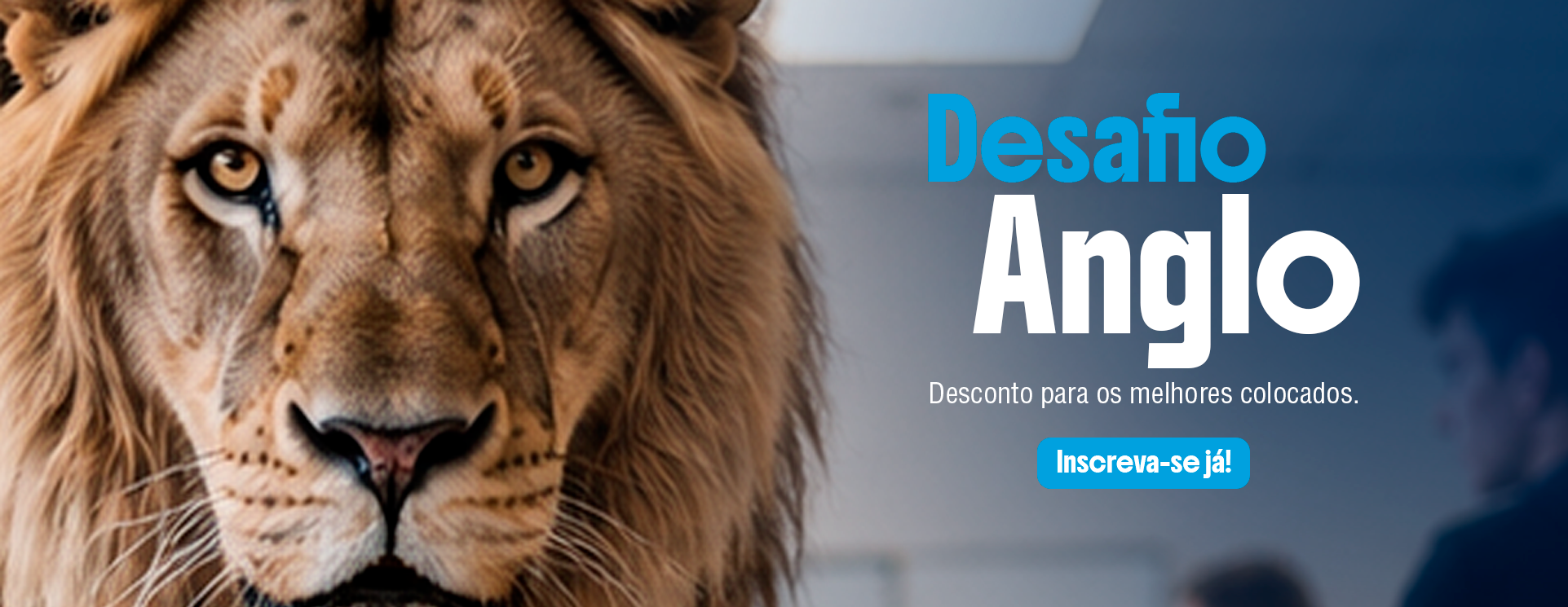 Desafio anglo